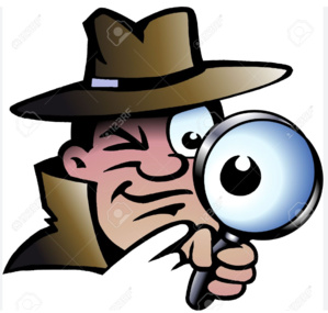 Nomination d’un inspecteur général de l’Etat Nomination d’un inspecteur général de l’Etat