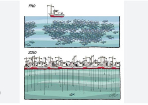 Le ministre de la pêche et des infrastructures maritimes et portuaires appelle à la discipline et à la transparence Le ministre de la pêche et des infrastructures maritimes et portuaires appelle à la discipline et à la transparence
