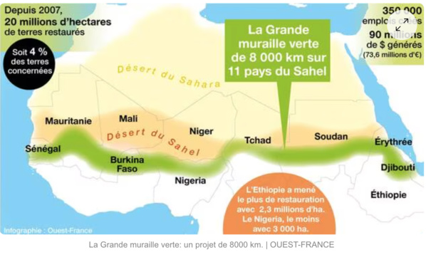Grande Muraille Verte de Mauritanie, l’ONG « Nature Mauritanie » met en place un Comité national de suivi de la Biodiversité Grande Muraille Verte de Mauritanie, l’ONG « Nature Mauritanie » met en place un Comité national de suivi de la Biodiversité