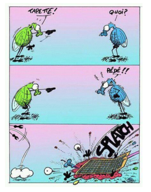 La région de Nouakchott lance une campagne de désinfection de la ville La région de Nouakchott lance une campagne de désinfection de la ville