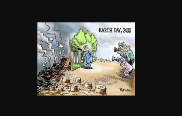 La ministre de l’environnement : « la campagne de boisement est destinée à récupérer 2500 ha de terres dégradées » La ministre de l’environnement : « la campagne de boisement est destinée à récupérer 2500 ha de terres dégradées »