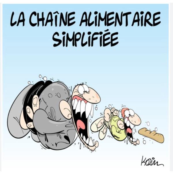 Quand le patronat s'écarte de ses priorités et surtout de son rôle ça donne la Charte Familiale de l'UNPM Quand le patronat s'écarte de ses priorités et surtout de son rôle ça donne la Charte Familiale de l'UNPM