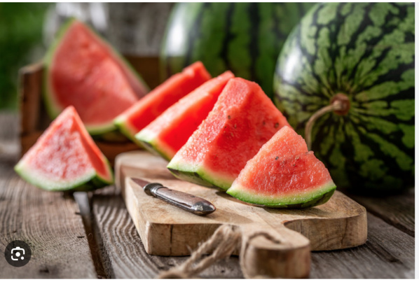 Agriculture : La Pastèque mauritanienne s’invite dans les plats européens Agriculture : La Pastèque mauritanienne s’invite dans les plats européens