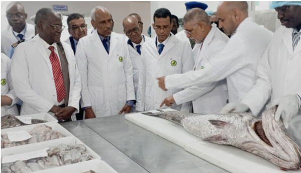 Le ministre de la pêche et des infrastructures maritimes et portuaires entame une visite à Nouadhibou Le ministre de la pêche et des infrastructures maritimes et portuaires entame une visite à Nouadhibou