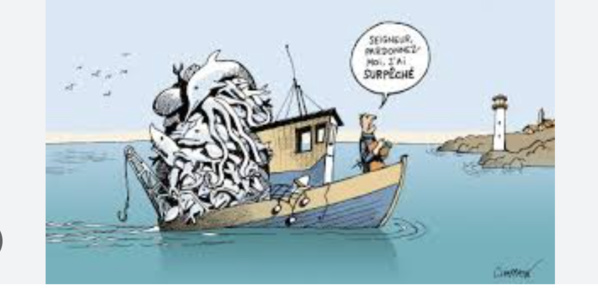 Le ministre de la Pêche s’informe à Nouadhibou sur situation de la pêche Le ministre de la Pêche s’informe à Nouadhibou sur situation de la pêche