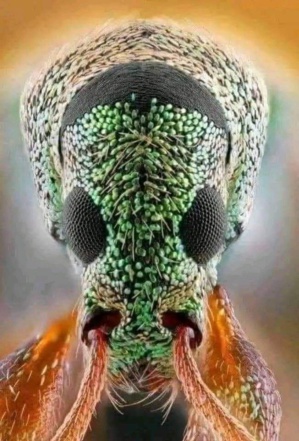 Santé : « Les deux Hodhs demeurent les principales zones endémiques, avec 93 % des cas de paludisme », selon le Directeur général de la santé publique Santé : « Les deux Hodhs demeurent les principales zones endémiques, avec 93 % des cas de paludisme », selon le Directeur général de la santé publique