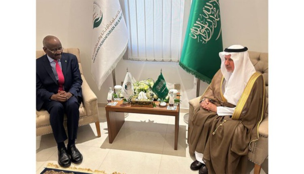 Le ministre des Affaires étrangères rencontre le superviseur général du Centre du Roi Selmane pour le secours humanitaire Le ministre des Affaires étrangères rencontre le superviseur général du Centre du Roi Selmane pour le secours humanitaire