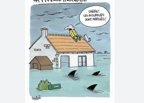 Commissaire à la sécurité alimentaire : Le CSA a fourni une assistance à tous les citoyens touchés par la crue du fleuve Commissaire à la sécurité alimentaire : Le CSA a fourni une assistance à tous les citoyens touchés par la crue du fleuve