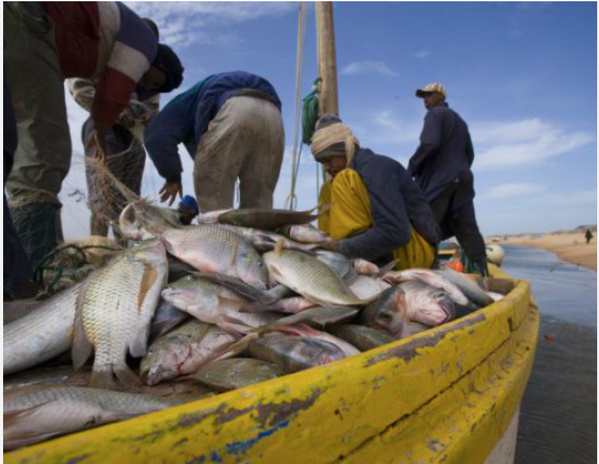 Enquête exclusive : comment les bateaux pirates mettent en échec le système de surveillance Enquête exclusive : comment les bateaux pirates mettent en échec le système de surveillance