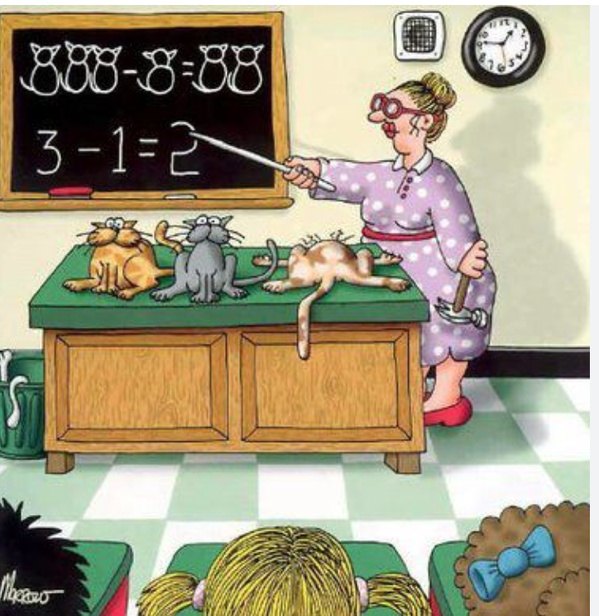 L’équipe mauritanienne à la 4ème Olympiade arabe des mathématiques remporte quatre médailles L’équipe mauritanienne à la 4ème Olympiade arabe des mathématiques remporte quatre médailles