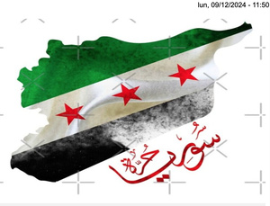 L’ambassade syrienne à Nouakchott remplace le drapeau officiel par celui de la révolution syrienne L’ambassade syrienne à Nouakchott remplace le drapeau officiel par celui de la révolution syrienne