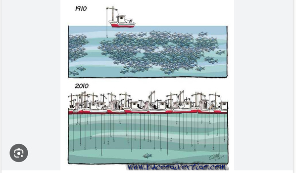 Le ministre de la Pêche et des Infrastructures maritimes et portuaires s’entretient avec son homologue sénégalais Le ministre de la Pêche et des Infrastructures maritimes et portuaires s’entretient avec son homologue sénégalais