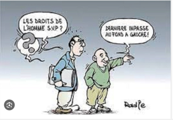 Le Commissaire aux droits de l’homme reçoit la représentante du HCDH