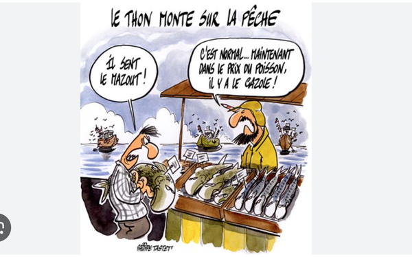 Le ministre de la Pêche s’entretient avec le chef de la mission de l’Agence des Nations Unies pour les migrations Le ministre de la Pêche s’entretient avec le chef de la mission de l’Agence des Nations Unies pour les migrations