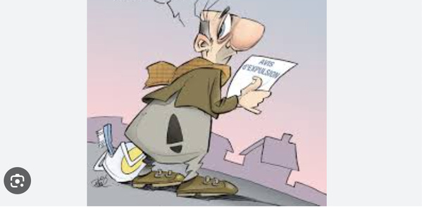 Vers un déguerpissement des exploitants des jardins maraichers de Sebkha Vers un déguerpissement des exploitants des jardins maraichers de Sebkha