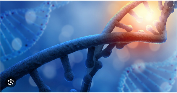 Campagne de sensibilisation sur l’utilisation des produits chimiques utilisés dans l’exploitation minière artisanale Campagne de sensibilisation sur l’utilisation des produits chimiques utilisés dans l’exploitation minière artisanale