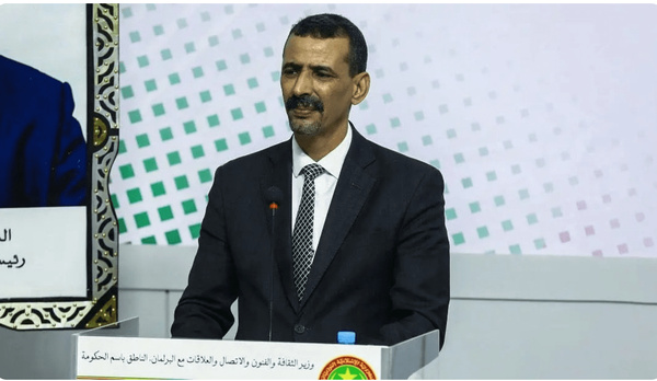 Le porte-parole du gouvernement : l’expulsion des personnes entrées illégalement dans le pays a été exagérée Le porte-parole du gouvernement : l’expulsion des personnes entrées illégalement dans le pays a été exagérée