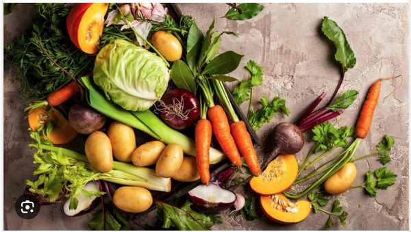 Mauritanie : amélioration sensible de la production nationale des légumes Mauritanie : amélioration sensible de la production nationale des légumes