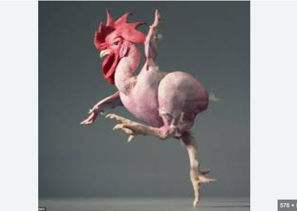 Consommation annuelle de viande blanche en Mauritanie : environ 10 000 tonnes/an Consommation annuelle de viande blanche en Mauritanie : environ 10 000 tonnes/an