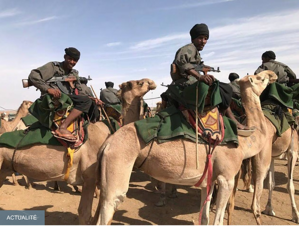 THEMIIS : « Les chameaux en Mauritanie, un outil de collecte d’informations de renseignement » THEMIIS : « Les chameaux en Mauritanie, un outil de collecte d’informations de renseignement »
