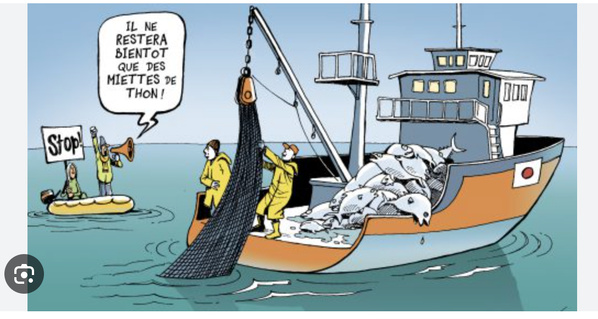 Le président de l’Union nationale du patronat mauritanien visite le marché du poisson de Nouakchott Le président de l’Union nationale du patronat mauritanien visite le marché du poisson de Nouakchott