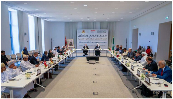 La Mauritanie participe à la 31ème réunion du Comité Consultatif du Secteur des Richesses Minières à Marrakech La Mauritanie participe à la 31ème réunion du Comité Consultatif du Secteur des Richesses Minières à Marrakech