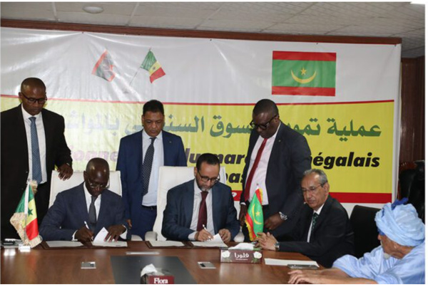 La Mauritanie signe un accord avec le Sénégal pour l’approvisionner en moutons de sacrifice La Mauritanie signe un accord avec le Sénégal pour l’approvisionner en moutons de sacrifice