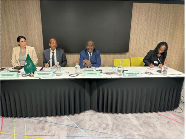 Le ministre des Affaires étrangères préside la réunion de coordination du Conseil exécutif de l’UA et du président de la Commission de l’UA Le ministre des Affaires étrangères préside la réunion de coordination du Conseil exécutif de l’UA et du président de la Commission de l’UA