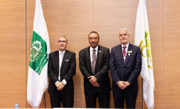 Discussion des domaines de coopération entre la Mauritanie et la Société d’assurance des investissements Discussion des domaines de coopération entre la Mauritanie et la Société d’assurance des investissements