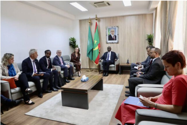 Le ministre des affaires étrangères reçoit une délégation de la commission du développement du Parlement européen Le ministre des affaires étrangères reçoit une délégation de la commission du développement du Parlement européen