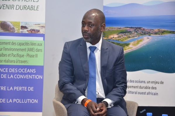 Secrétariat exécutif de l’agence panafricaine de la grande muraille verte : Abdoulaye Diagana candidat Secrétariat exécutif de l’agence panafricaine de la grande muraille verte : Abdoulaye Diagana candidat