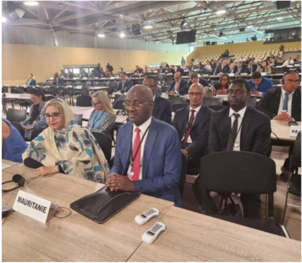Le ministre des Affaires étrangères représente le Président de la République à la troisième session de la Conférence des Nations Unies sur la protection des océans