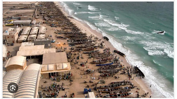 Le ministre des Pêches visite les installations du marché de poisson à Nouakchott