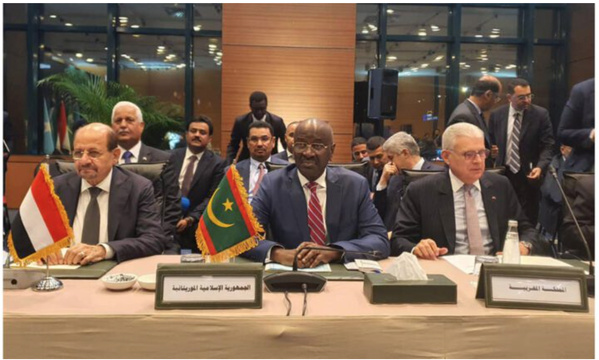 Le ministre des Affaires étrangères participe à la réunion d’urgence des ministres arabes des Affaires étrangères à Istanbul
