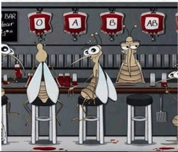 Le ministère de la santé a acheminé 400.000 moustiquaires imprégnées offertes par la Chine vers les wilayas les plus vulnérables à la propagation du paludisme Le ministère de la santé a acheminé 400.000 moustiquaires imprégnées offertes par la Chine vers les wilayas les plus vulnérables à la propagation du paludisme