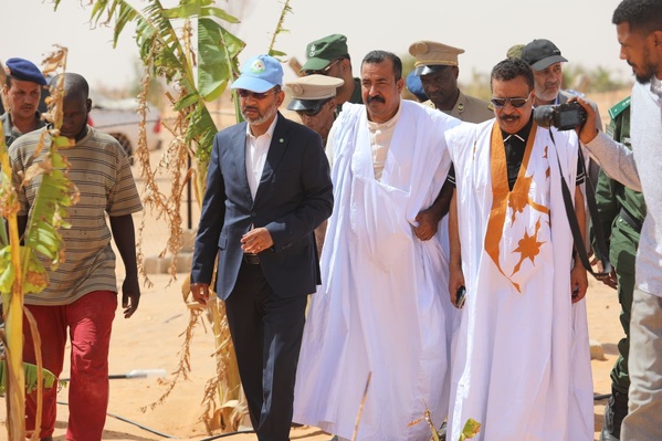 TAAZOUR fournit des équipements à une ferme à Benichab TAAZOUR fournit des équipements à une ferme à Benichab