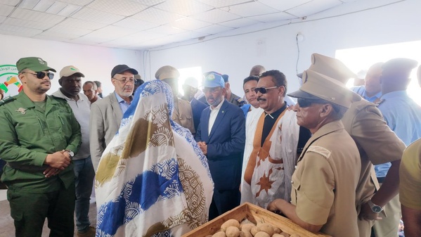 TAAZOUR fournit des équipements à une ferme à Benichab TAAZOUR fournit des équipements à une ferme à Benichab