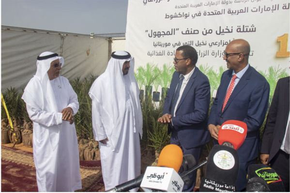 La Mauritanie réceptionne 1 000 plants de palmiers offerts par le prix international Khalifa pour les palmiers dattiers et l’innovation agricole La Mauritanie réceptionne 1 000 plants de palmiers offerts par le prix international Khalifa pour les palmiers dattiers et l’innovation agricole