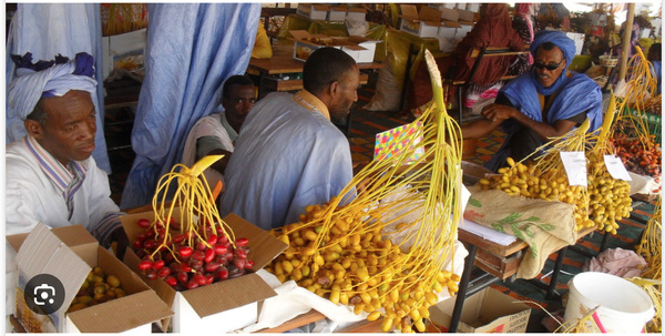 La Ministre du Commerce et du Tourisme : Notre pays regorge de potentialités touristiques prometteuses et le festival des dattes est un levier important pour le tourisme intérieur La Ministre du Commerce et du Tourisme : Notre pays regorge de potentialités touristiques prometteuses et le festival des dattes est un levier important pour le tourisme intérieur