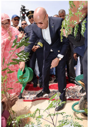 Le Président de la République supervise le lancement des activités de la Semaine nationale de l’arbre et appelle à renforcer la conscience environnementale Le Président de la République supervise le lancement des activités de la Semaine nationale de l’arbre et appelle à renforcer la conscience environnementale
