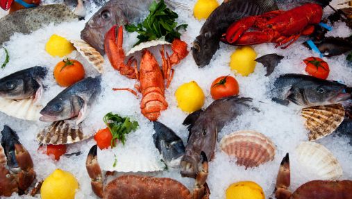 Ouverture de la première édition du Salon mauritanien des produits de la mer à Nouadhibou