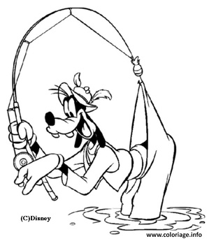 Un président pour le Comité des mareyeurs de la FNP/Section Sud Un président pour le Comité des mareyeurs de la FNP/Section Sud