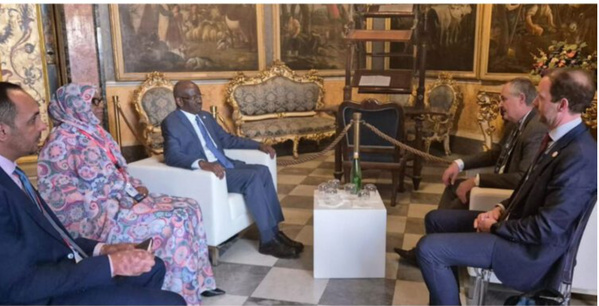 Le ministre des Affaires étrangères reçoit le directeur général de l’Appel de Genève
