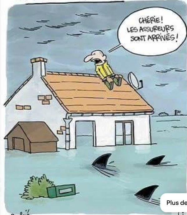 Le littoral mauritanien affecté par les activités industrielles et minières selon une récente étude