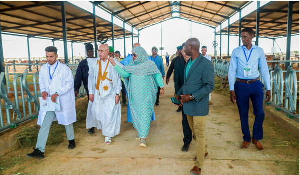 Le Président de la République visite la ferme moderne intégrée de production laitière et de culture fourragère à El Behga Le Président de la République visite la ferme moderne intégrée de production laitière et de culture fourragère à El Behga