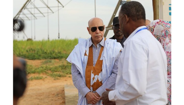 Le Président de la République visite la ferme intégrée de fourrages verts à N’Beikit Lahouach Le Président de la République visite la ferme intégrée de fourrages verts à N’Beikit Lahouach