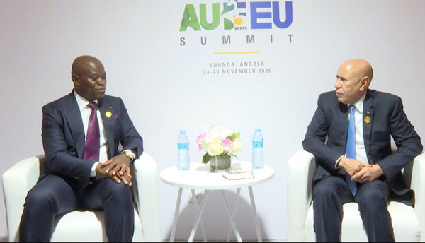 Le Président de la République reçoit son homologue gabonais