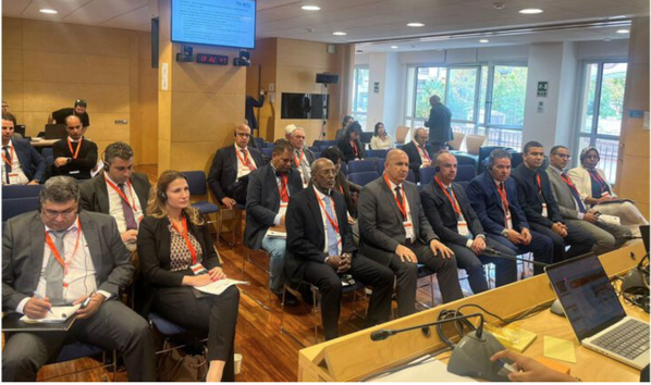 Le délégué général à la sécurité civile et à la gestion des crises participe à une réunion internationale sur les incendies de forêt Le délégué général à la sécurité civile et à la gestion des crises participe à une réunion internationale sur les incendies de forêt