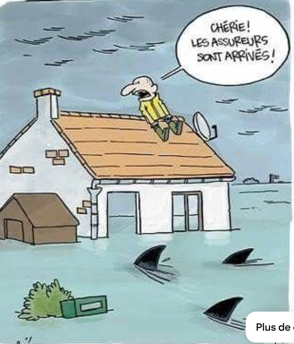800 familles sinistrées des inondations du fleuve bénéficie d’aides alimentaires 800 familles sinistrées des inondations du fleuve bénéficie d’aides alimentaires