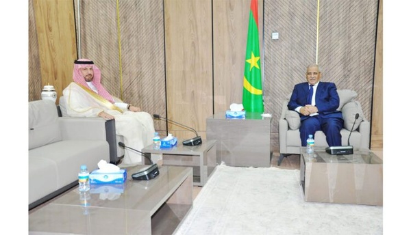 Le président de l’Assemblée nationale reçoit l’ambassadeur saoudien